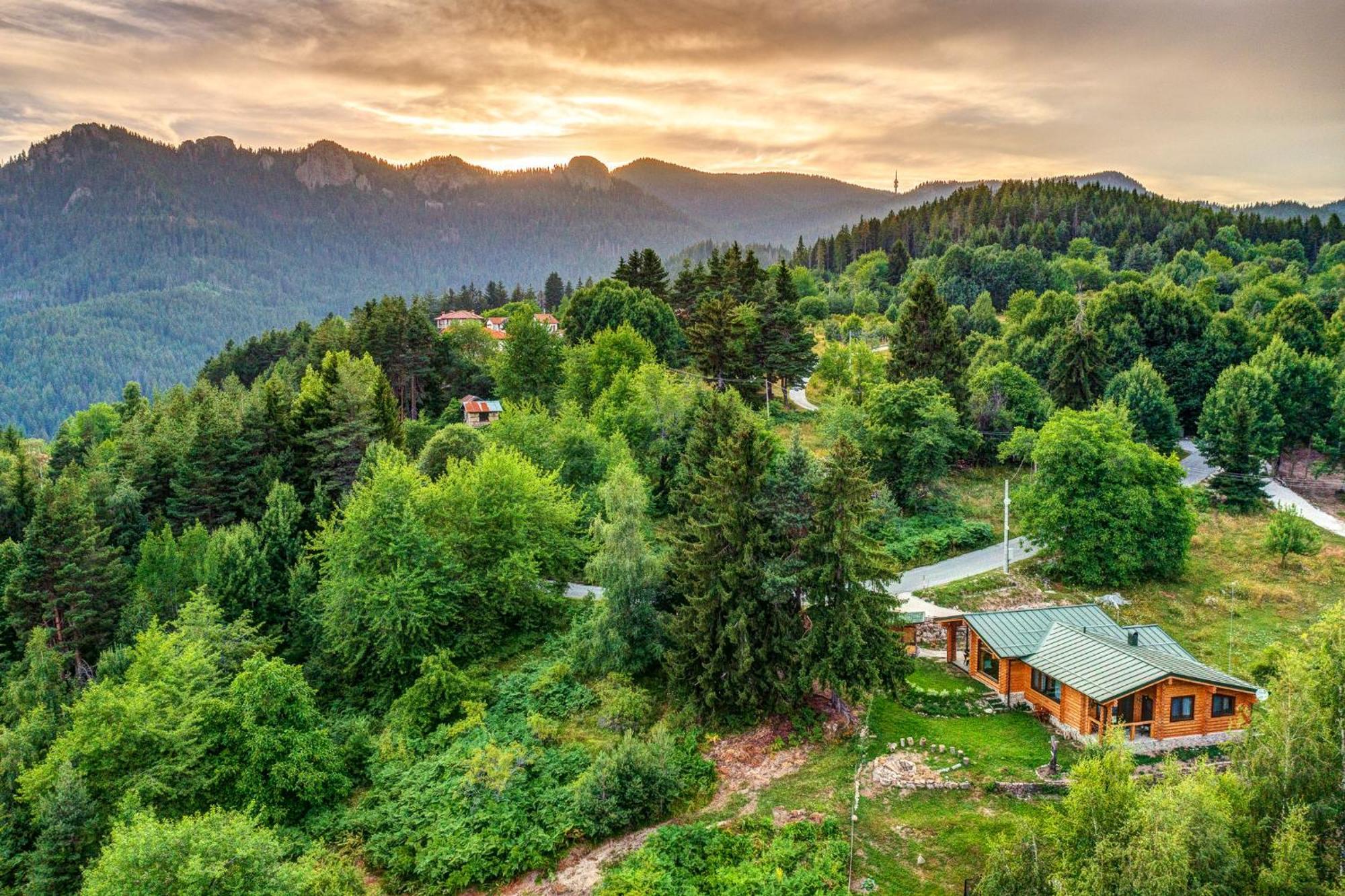 Вила Брезите Pamporovo Exterior photo